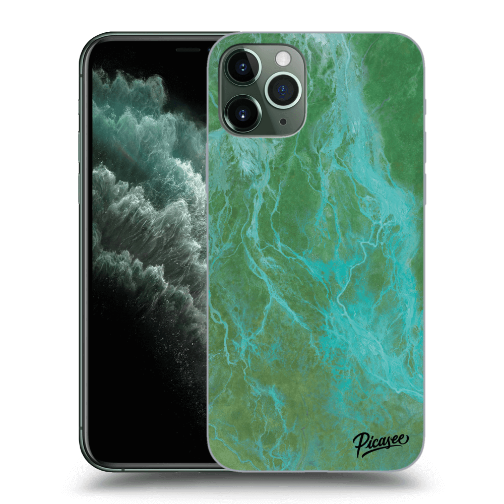 Picasee Apple iPhone 11 Pro Hülle - Transparentes Silikon - Green marble