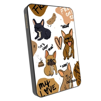 Powerbank mit MagSafe 5 000 mAh Grau - Frenchies