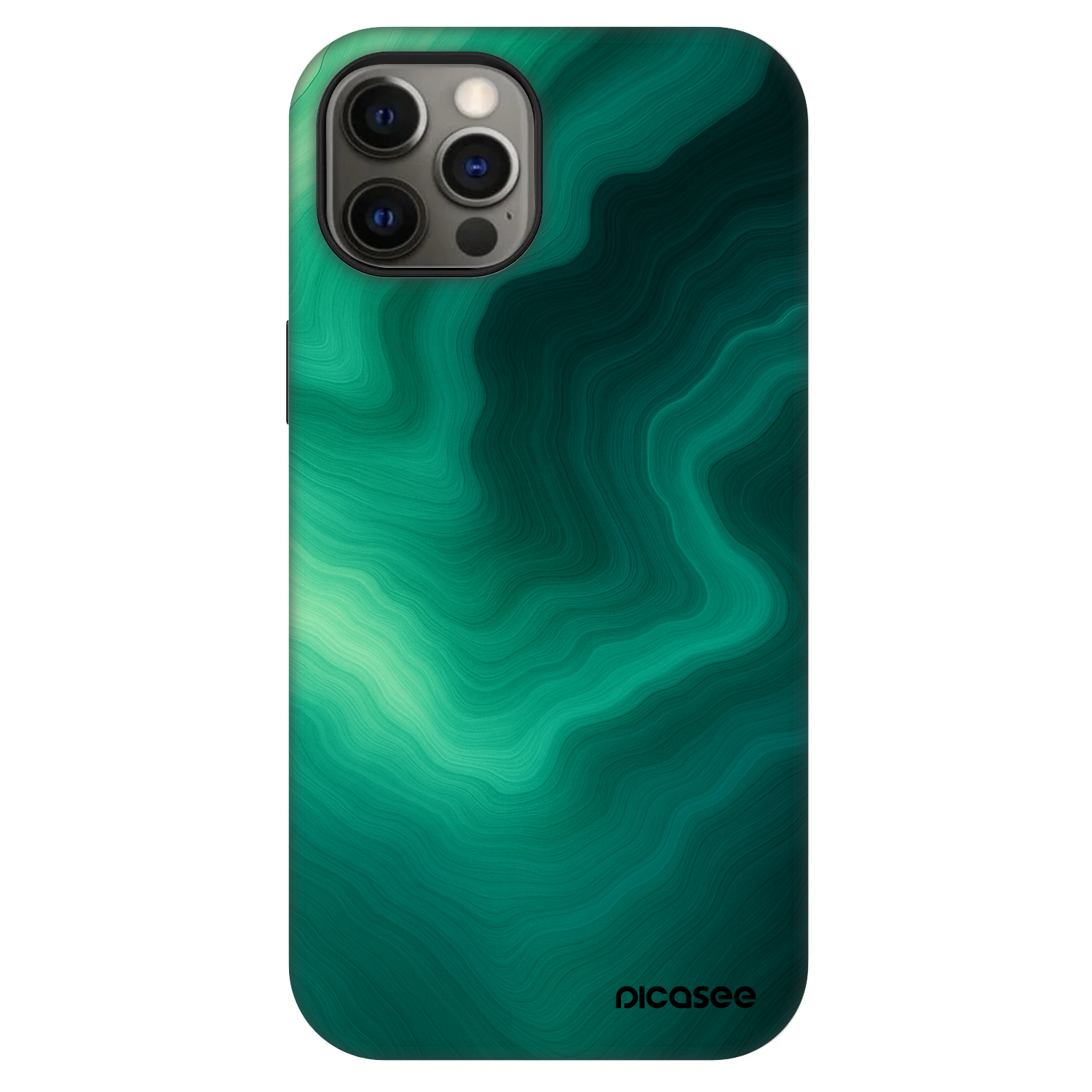 Picasee Fashion Case MagSafe für Apple iPhone 12 Pro - Malachite