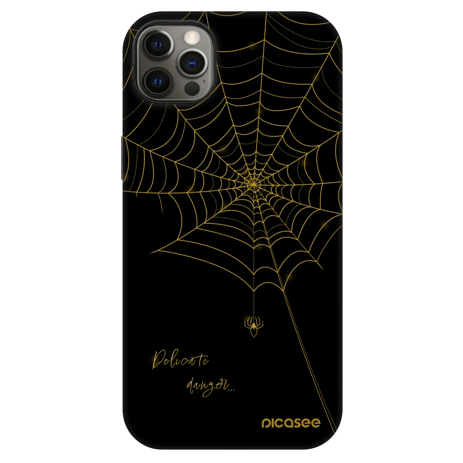 Picasee Fashion Case MagSafe für Apple iPhone 12 Pro Max - Delicate danger