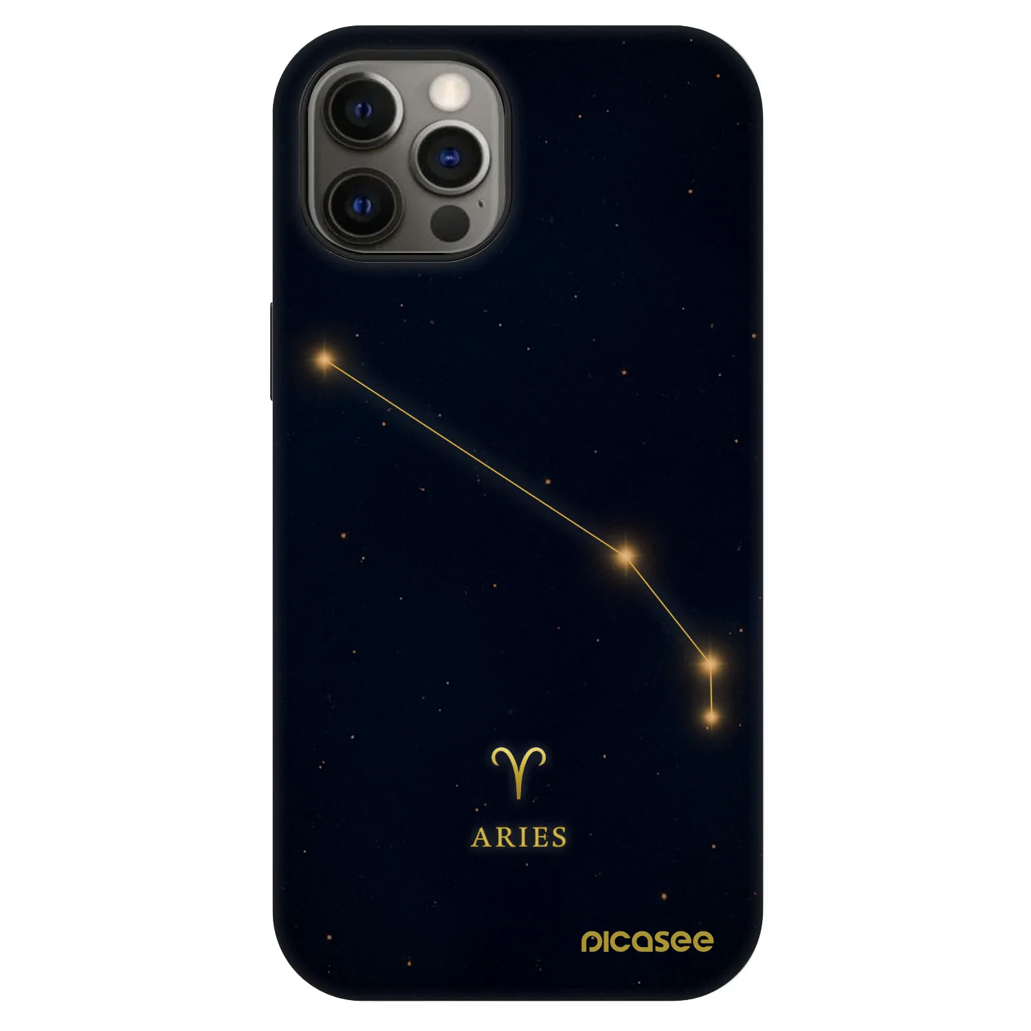 Picasee Fashion Case MagSafe für Apple iPhone 12 Pro - ARIES