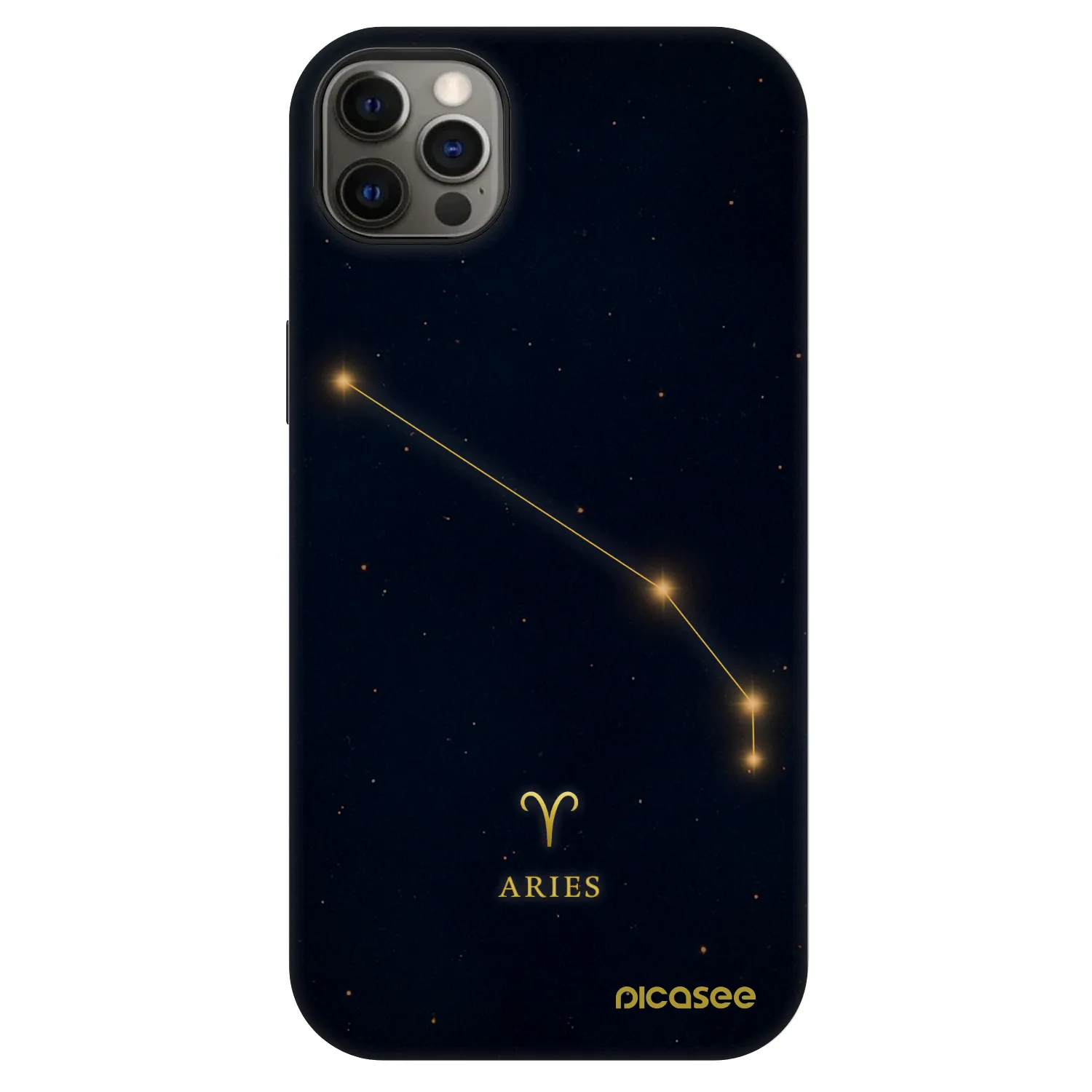 Picasee Fashion Case MagSafe für Apple iPhone 12 Pro Max - ARIES