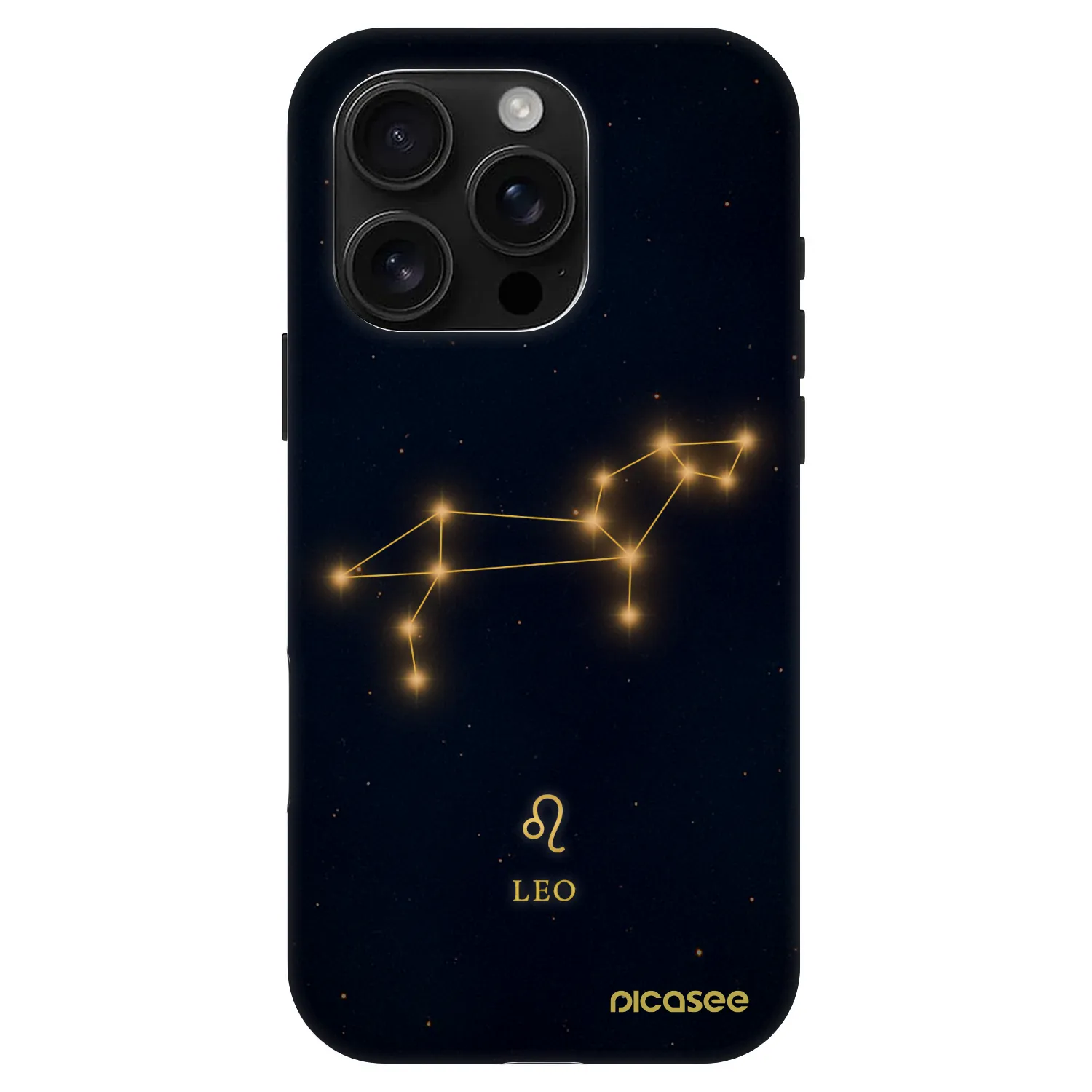 Picasee Fashion Case MagSafe für Apple iPhone 16 Pro - LEO