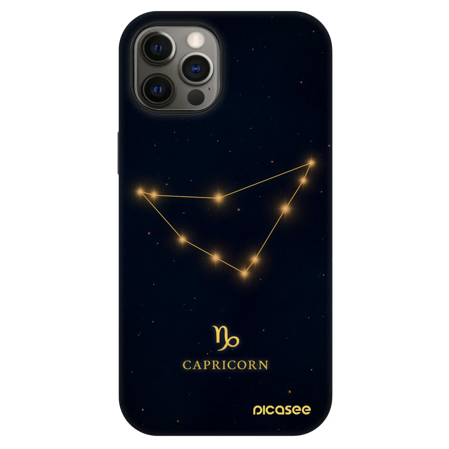 Picasee Fashion Case MagSafe für Apple iPhone 12 - CAPRICORN