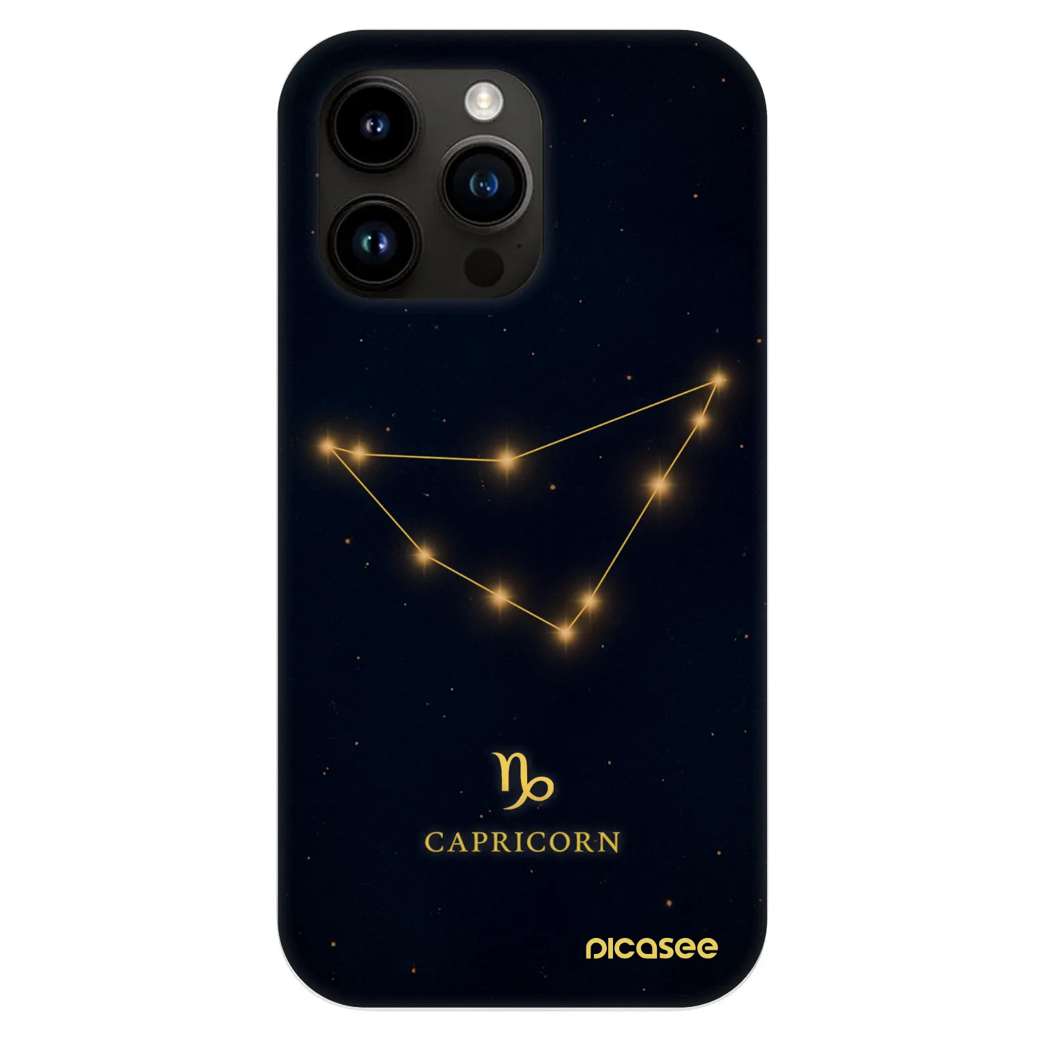 Picasee Fashion Case MagSafe für Apple iPhone 13 Pro - CAPRICORN