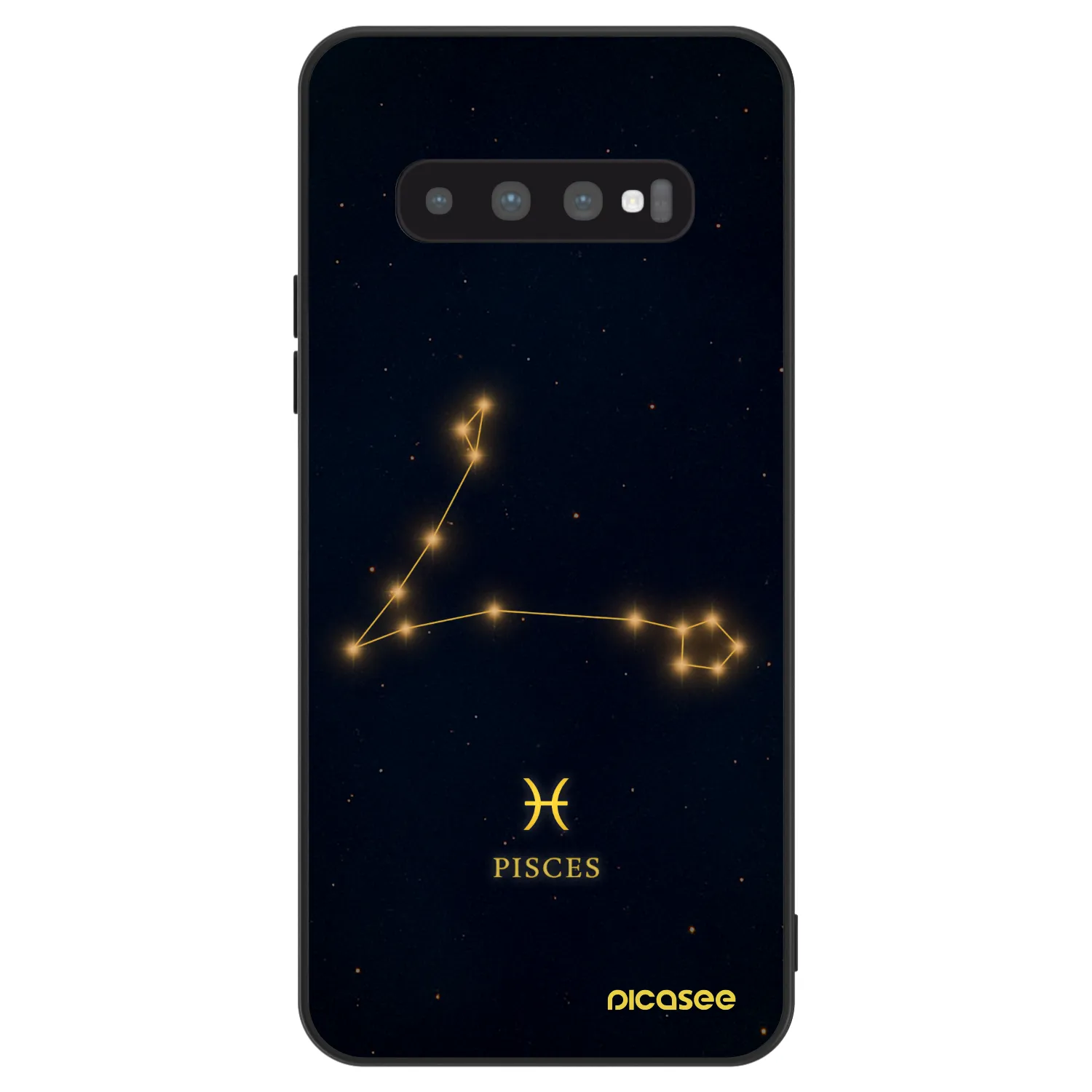 Picasee ULTIMATE CASE für Samsung Galaxy S10 G973 - PISCES