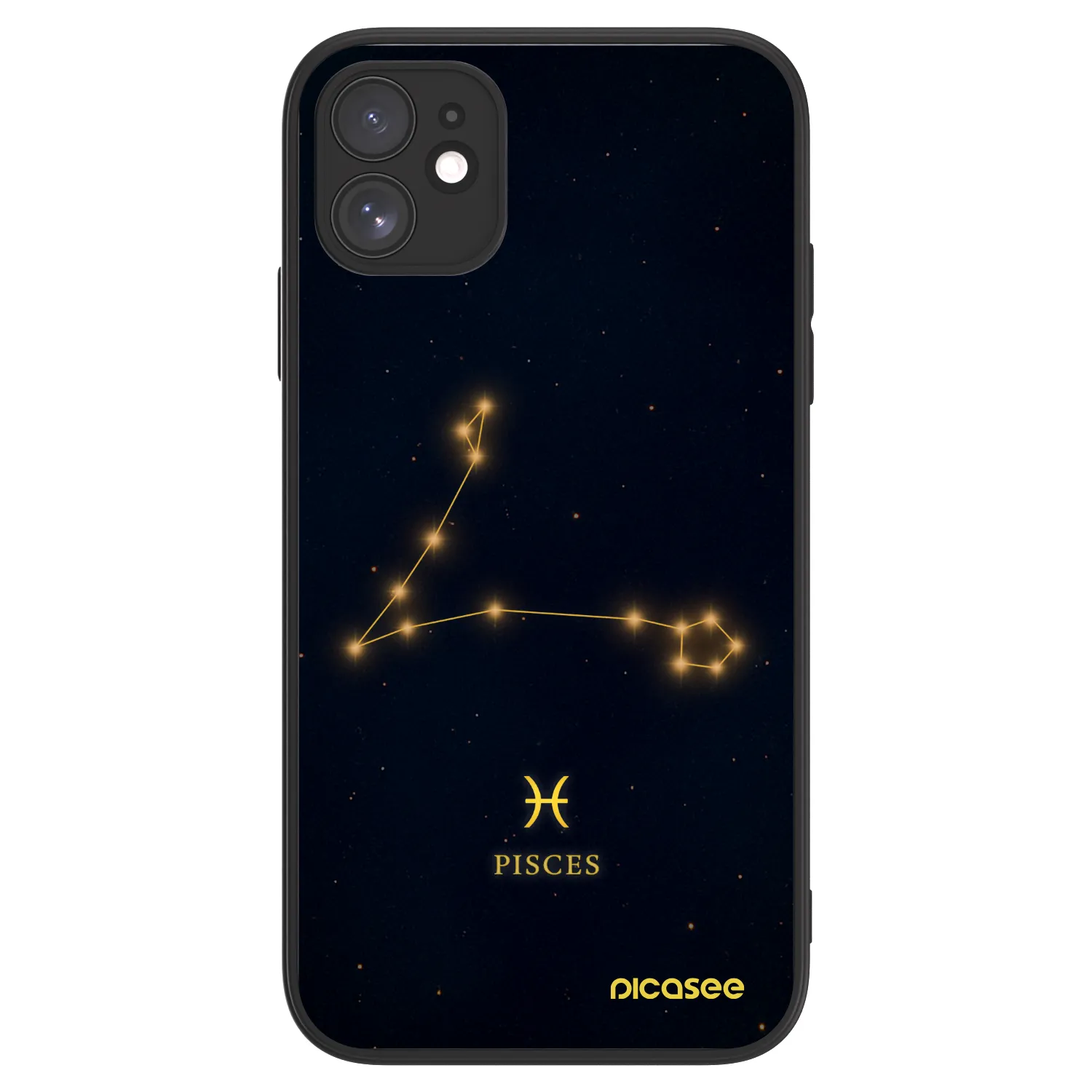 Picasee ULTIMATE CASE MagSafe für Apple iPhone 11 - PISCES