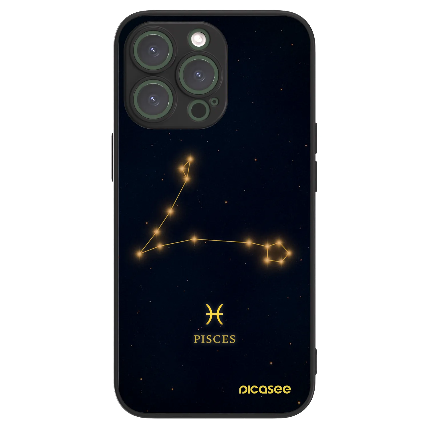 Picasee ULTIMATE CASE MagSafe für Apple iPhone 13 Pro - PISCES