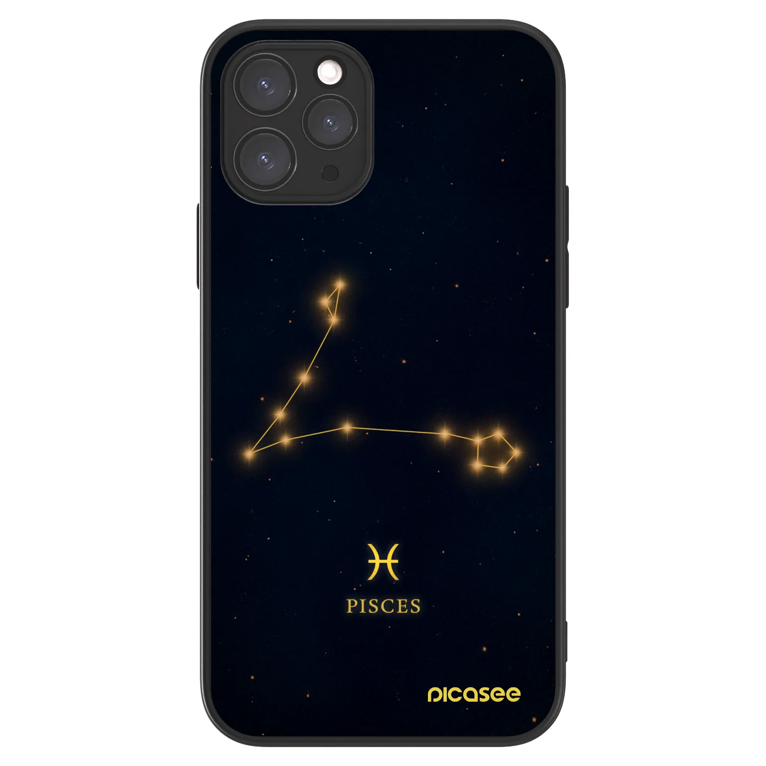 Picasee ULTIMATE CASE MagSafe für Apple iPhone 11 Pro - PISCES