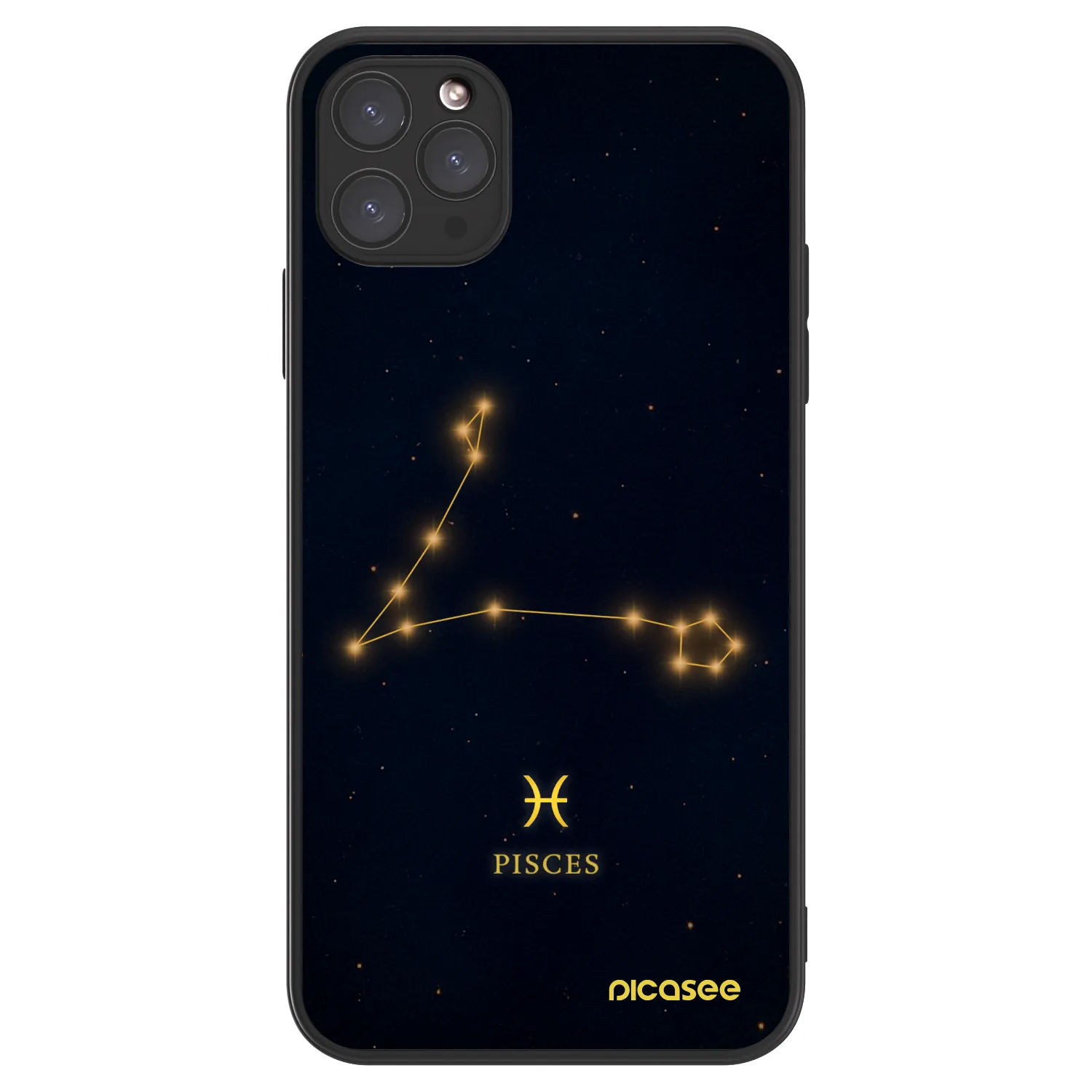Picasee ULTIMATE CASE MagSafe für Apple iPhone 11 Pro Max - PISCES