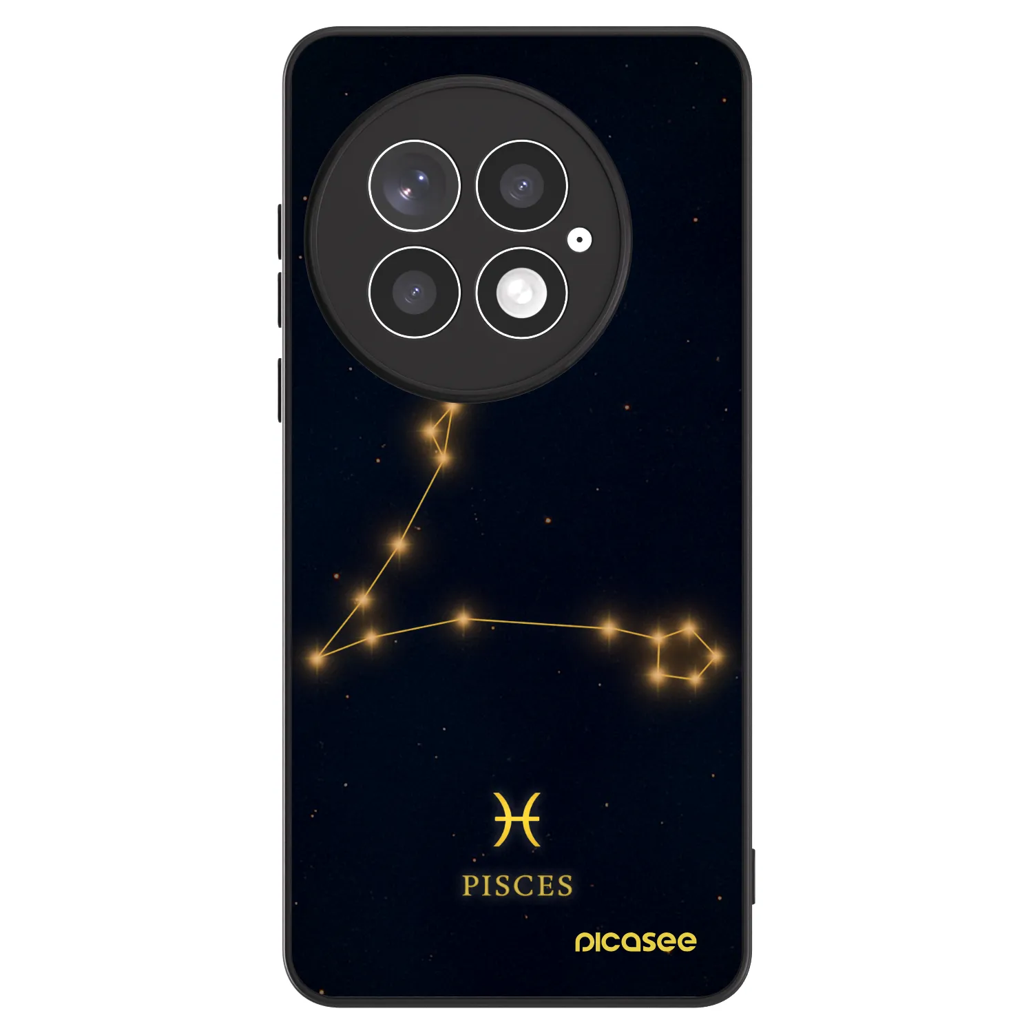 Picasee ULTIMATE CASE für OnePlus 13 5G - PISCES