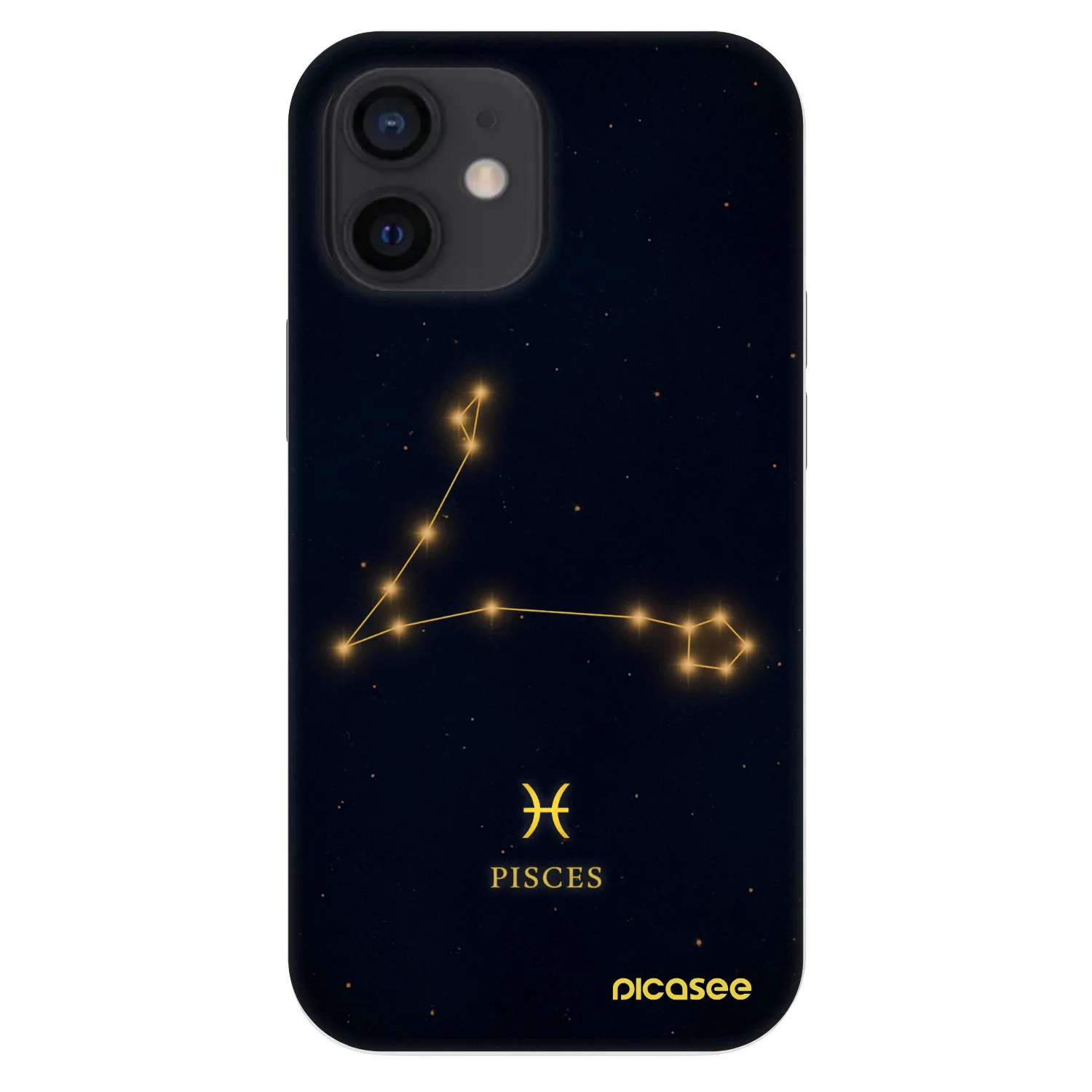 Picasee Fashion Case für Apple iPhone 12 mini - PISCES