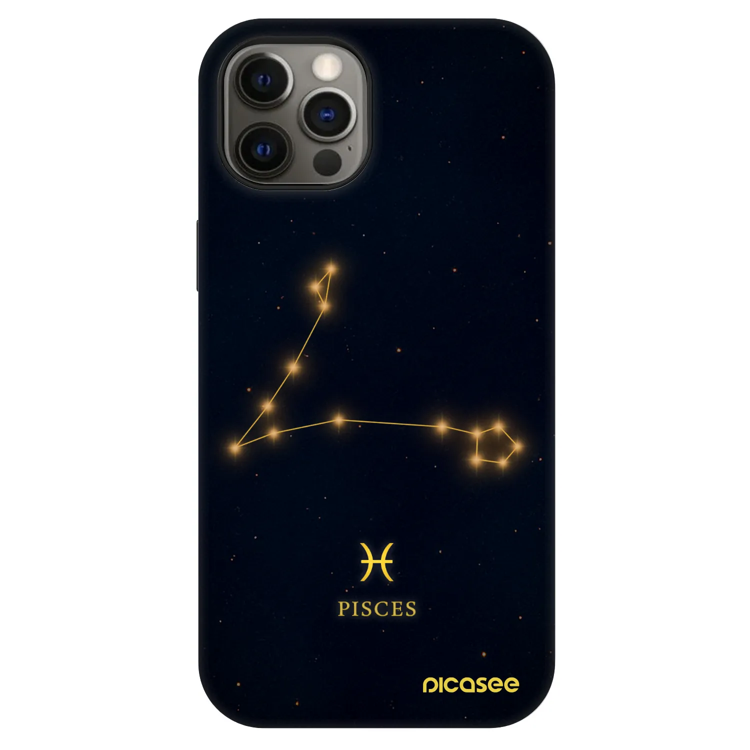 Picasee Fashion Case MagSafe für Apple iPhone 12 - PISCES