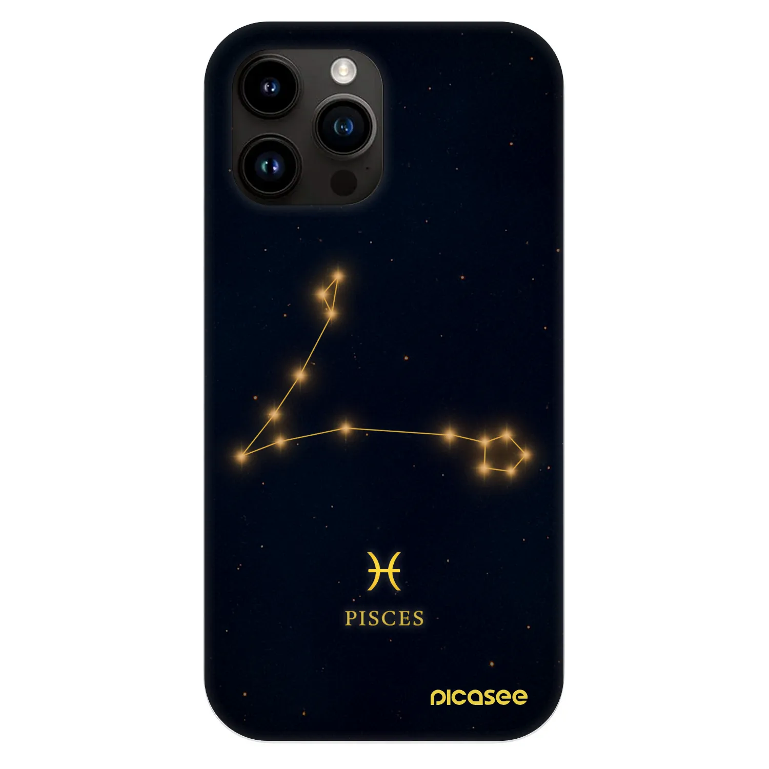 Picasee Fashion Case MagSafe für Apple iPhone 13 Pro Max - PISCES