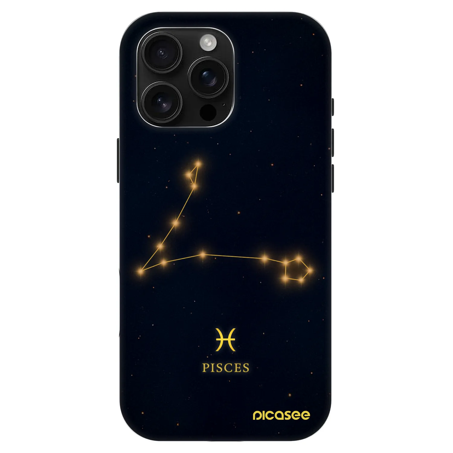 Picasee Fashion Case MagSafe für Apple iPhone 16 Pro Max - PISCES
