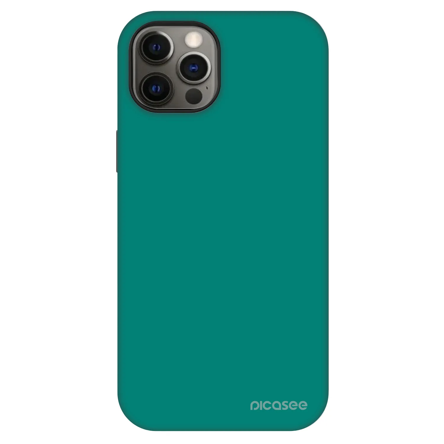 Picasee Fashion Case MagSafe für Apple iPhone 12 Pro - Emerald Mist