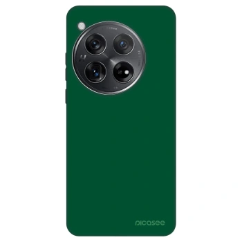 Hülle für OnePlus 12 5G - Green Gleam