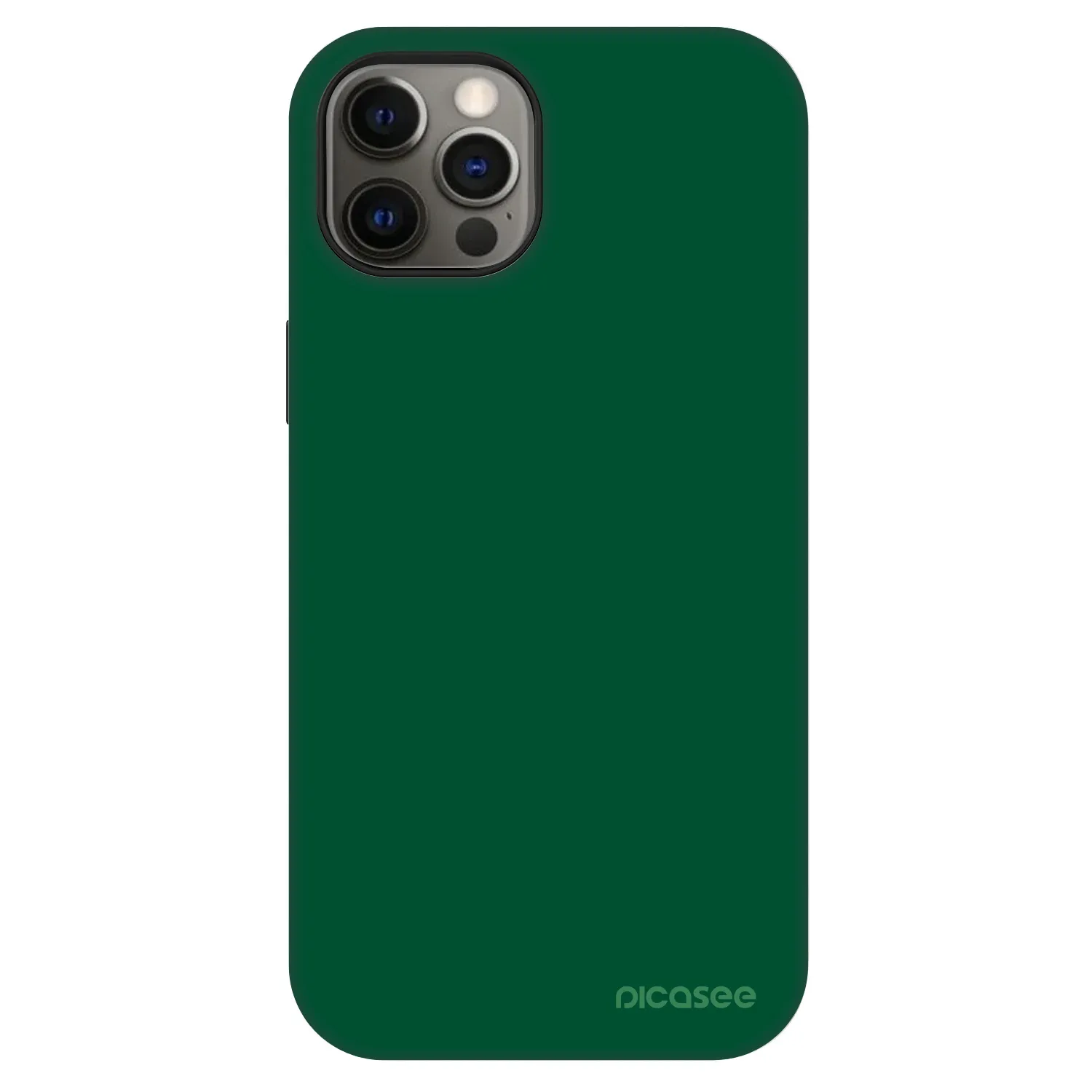 Picasee Fashion Case MagSafe für Apple iPhone 12 - Green Gleam