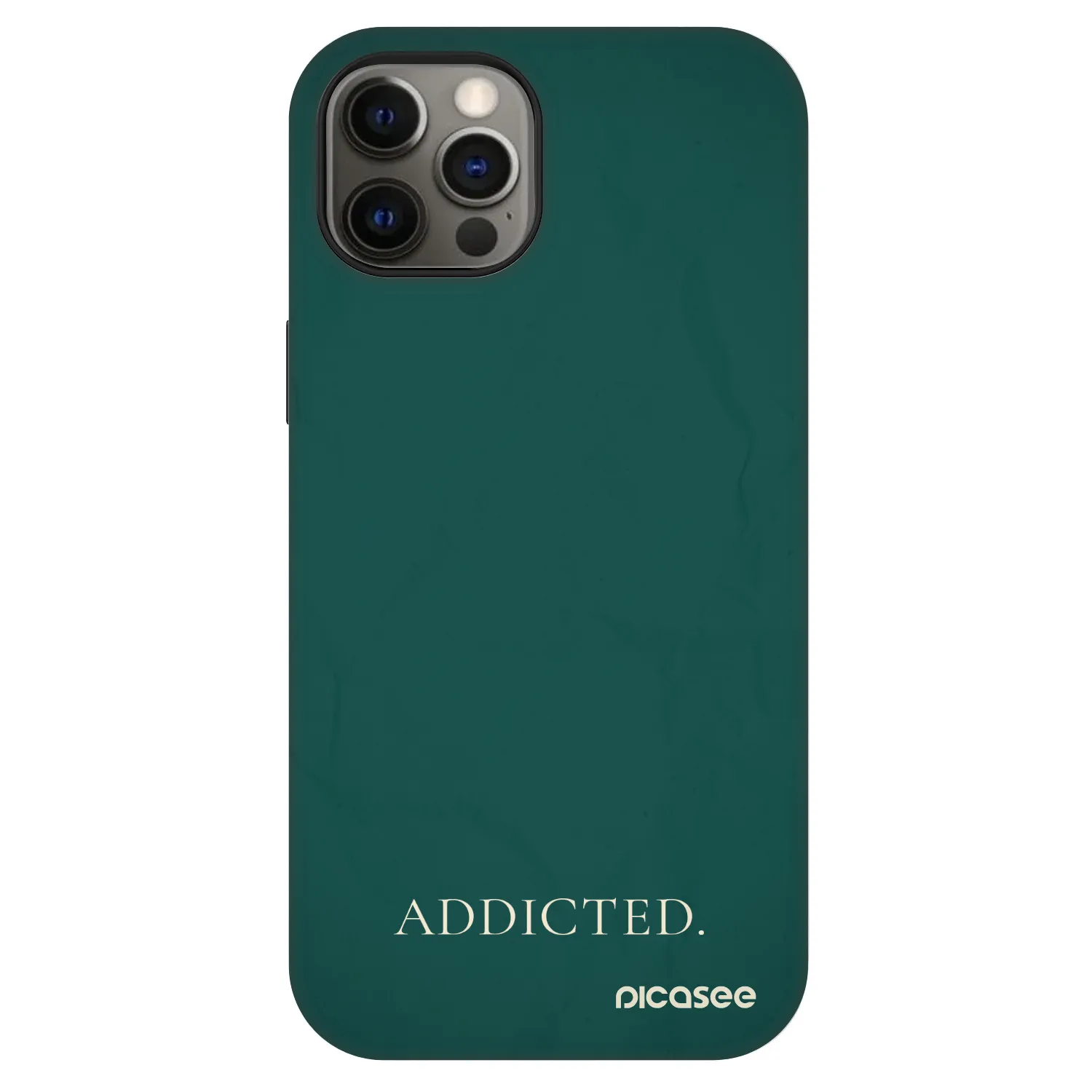 Picasee Fashion Case MagSafe für Apple iPhone 12 - Addicted
