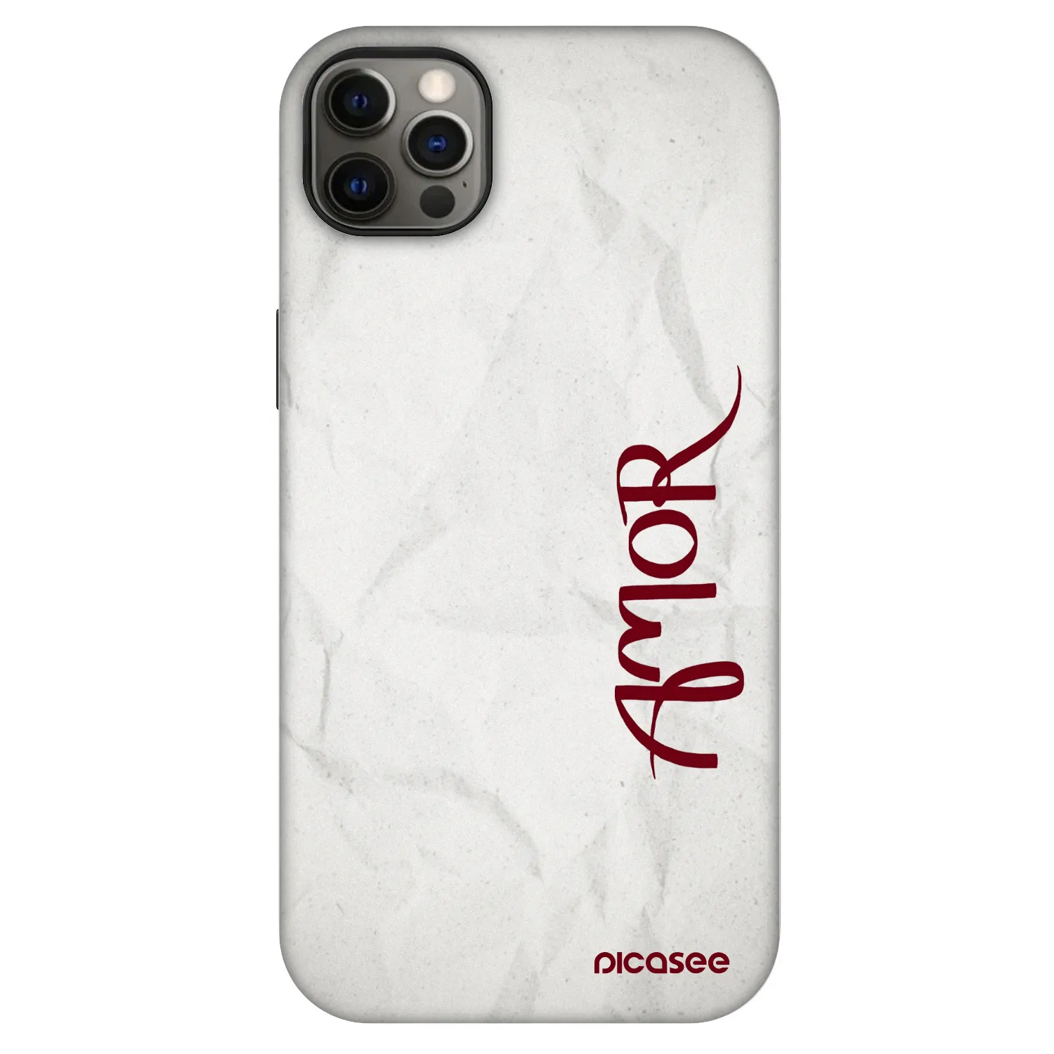 Picasee Fashion Case MagSafe für Apple iPhone 12 Pro Max - Amor