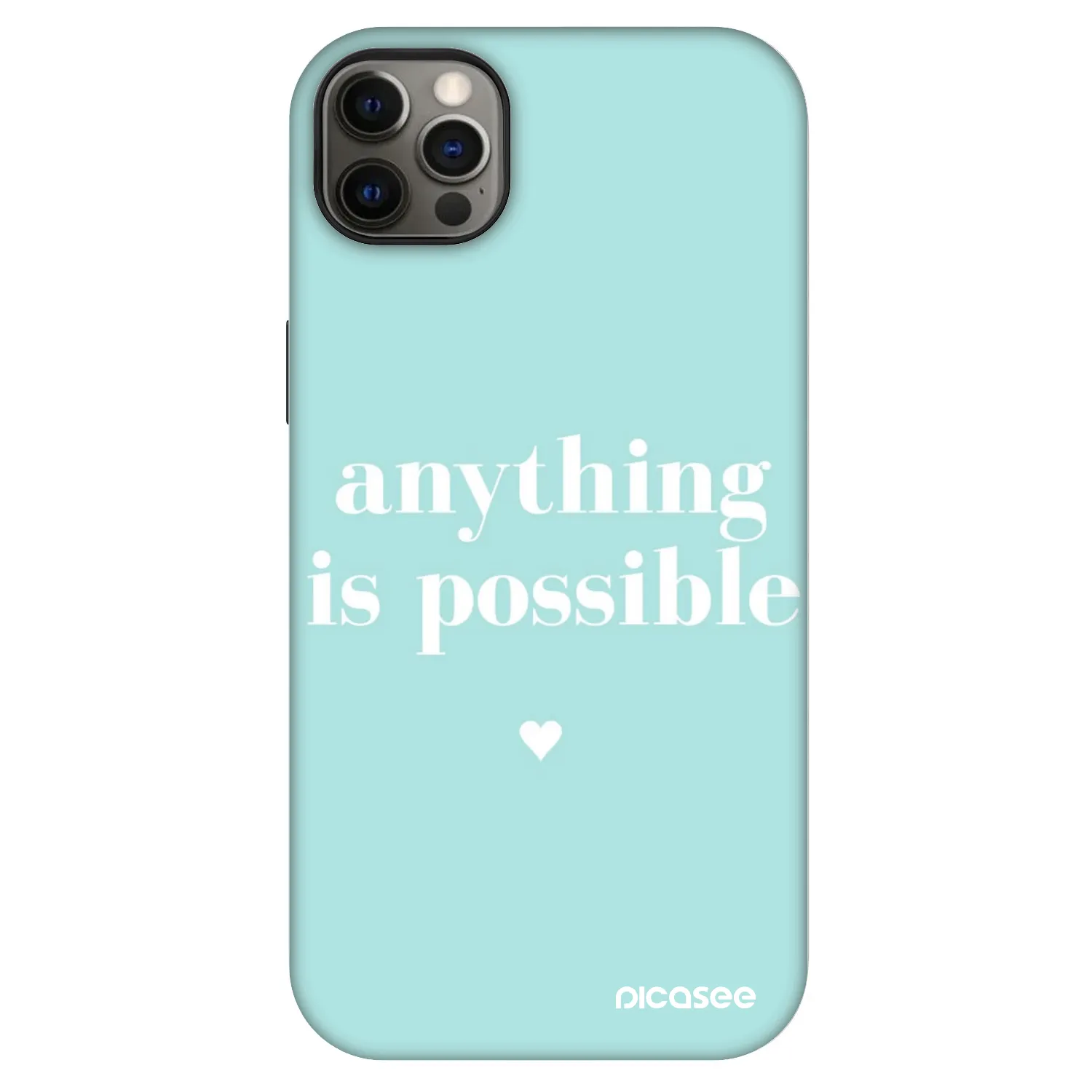 Picasee Fashion Case MagSafe für Apple iPhone 12 Pro Max - Anything is possible