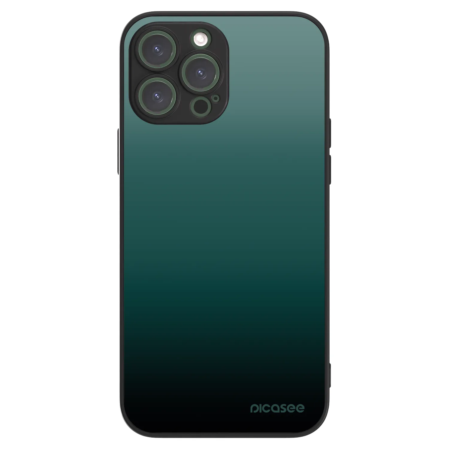 Picasee ULTIMATE CASE MagSafe für Apple iPhone 13 Pro Max - Verdant Fade