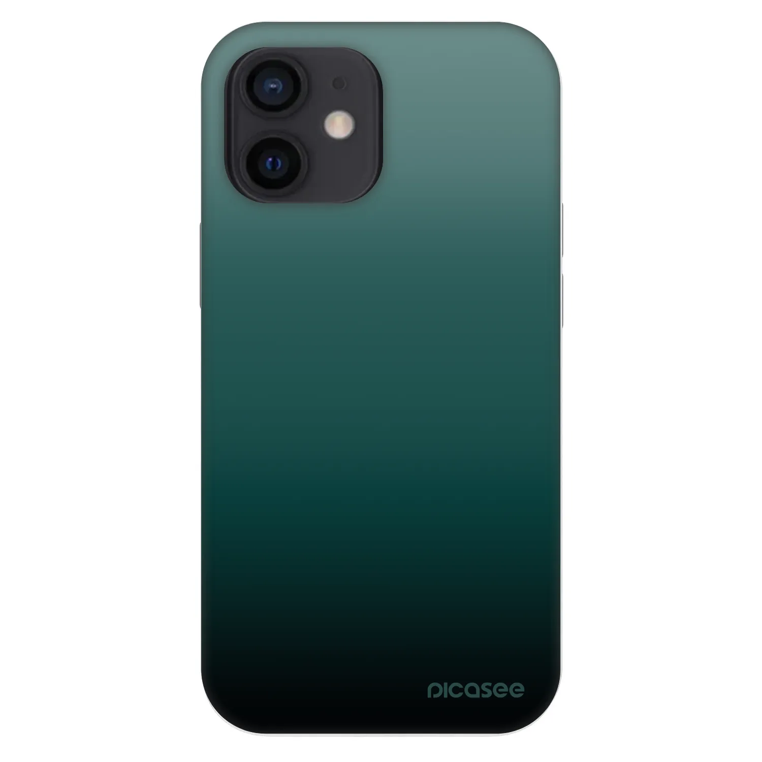 Picasee Fashion Case für Apple iPhone 12 mini - Verdant Fade