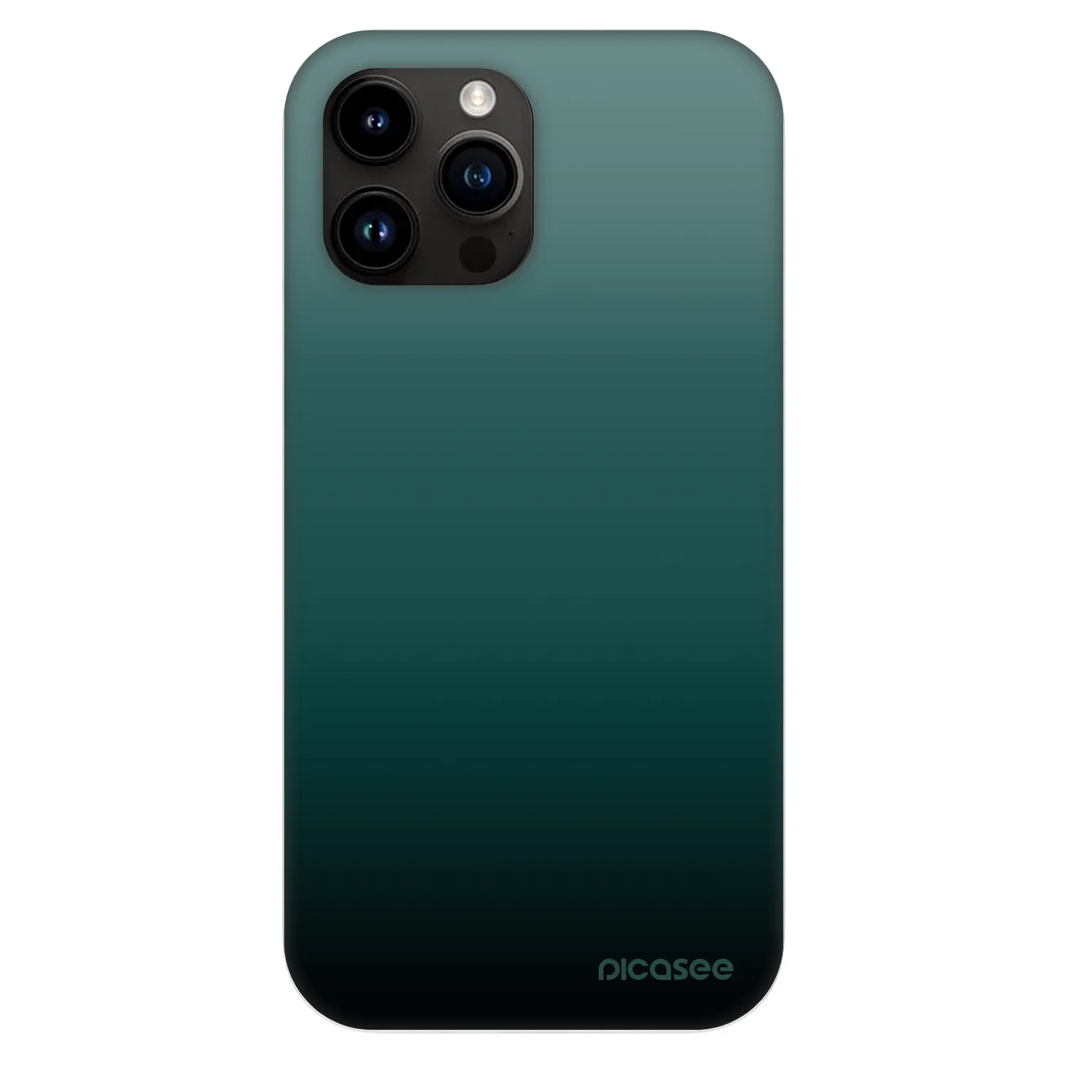 Picasee Fashion Case MagSafe für Apple iPhone 13 Pro Max - Verdant Fade