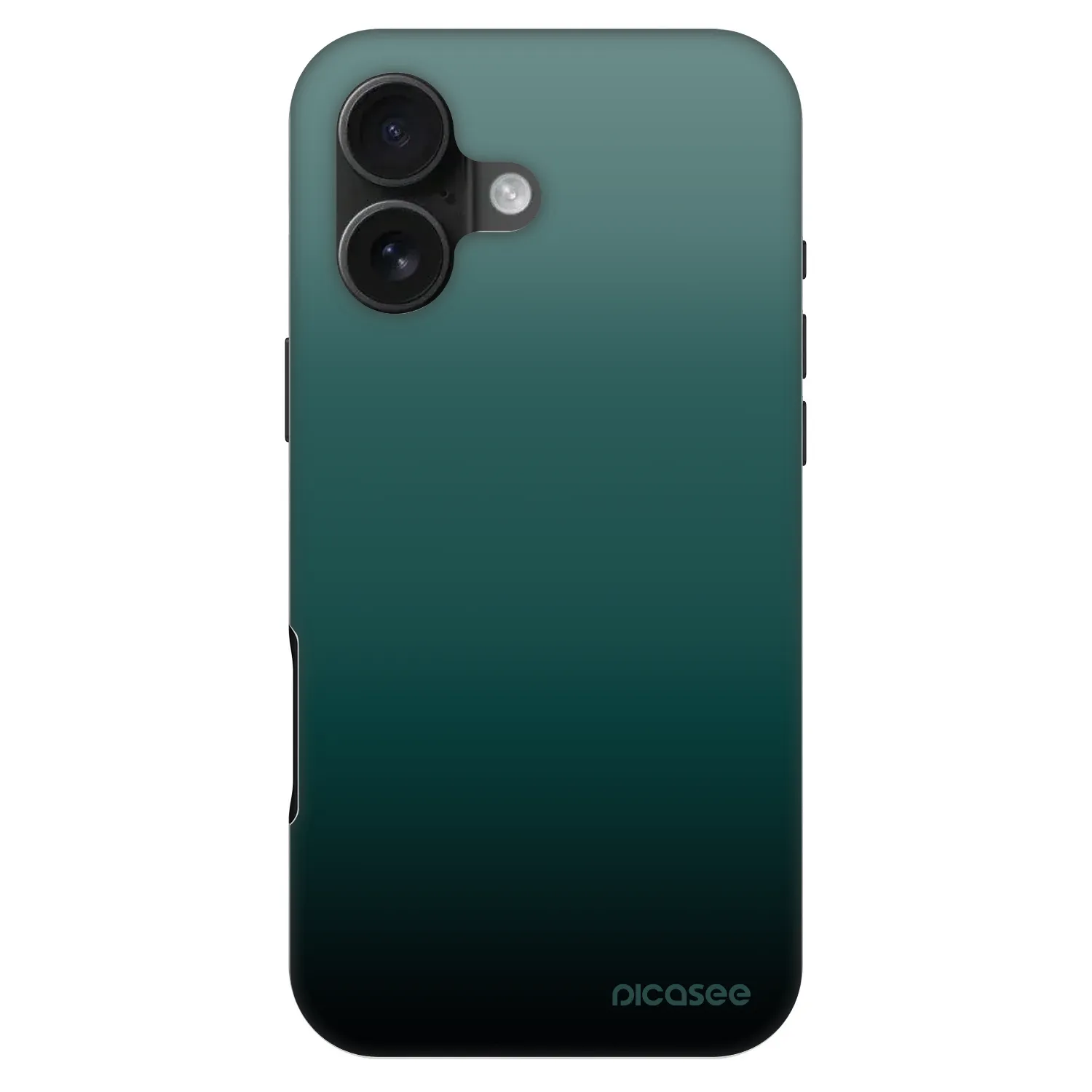 Picasee Fashion Case MagSafe für Apple iPhone 16 - Verdant Fade