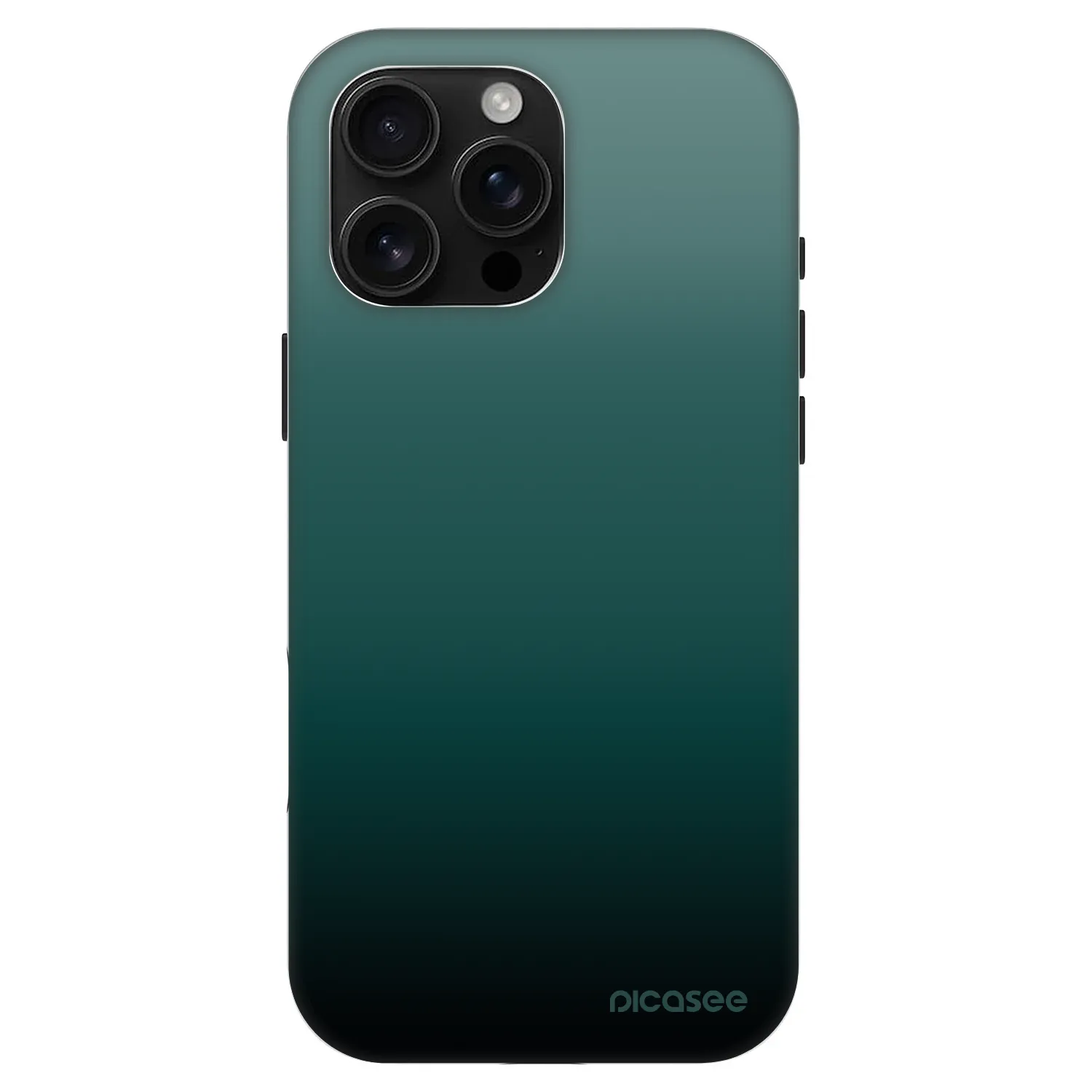 Picasee Fashion Case MagSafe für Apple iPhone 16 Pro Max - Verdant Fade