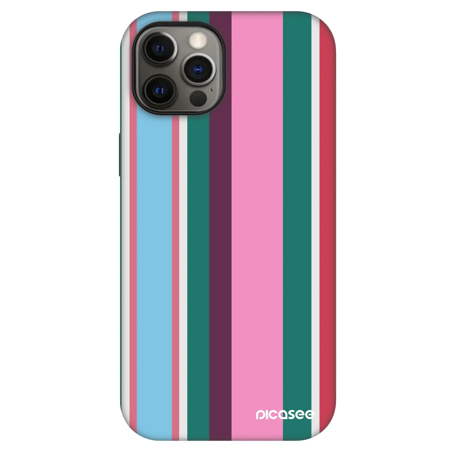 Picasee Fashion Case MagSafe für Apple iPhone 12 - Cabana club