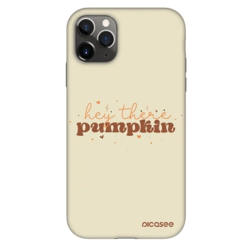 Hülle für Apple iPhone 11 Pro - Hey there pumpkin