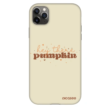 Hülle für Apple iPhone 11 Pro Max - Hey there pumpkin