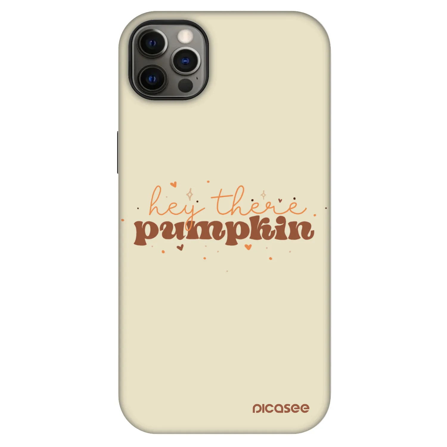 Picasee Fashion Case MagSafe für Apple iPhone 12 Pro Max - Hey there pumpkin