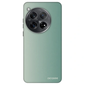Hülle für OnePlus 12 5G - Misty Sage